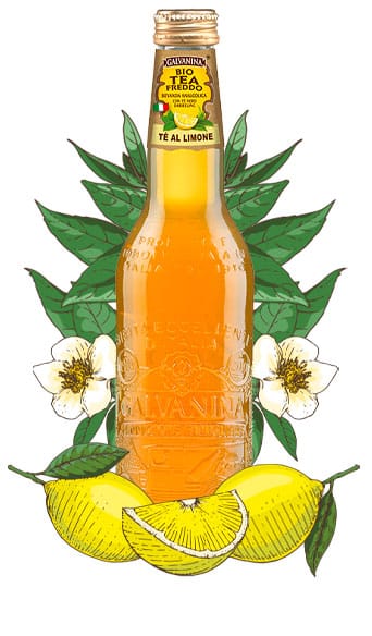 Organic Lemon Tea Galvanina